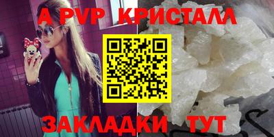 шишки Донской