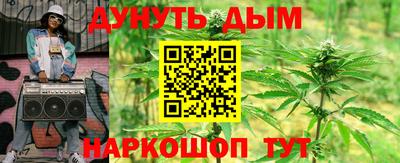 шишки Донской