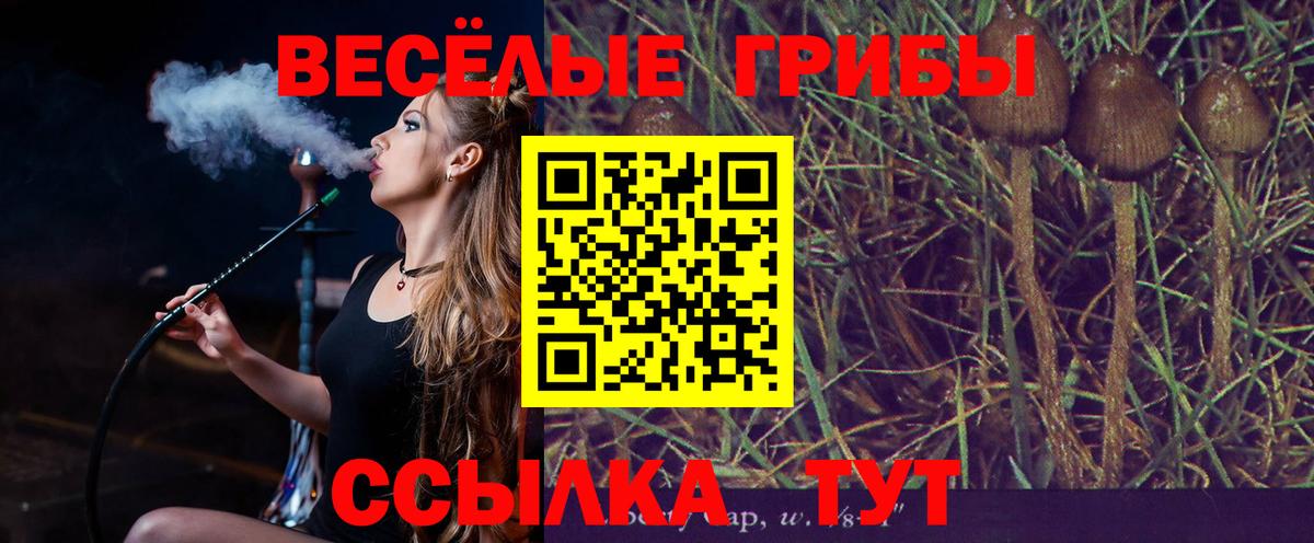 Галлюциногенные грибы GOLDEN TEACHER Мурманск