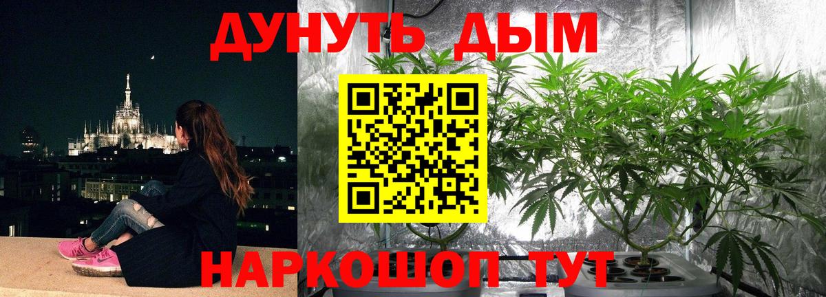 Канабис Ganja  Шишки марихуана ГИДРОПОН  Вход с VPN  Мурманск  Шишки марихуана OG Kush 